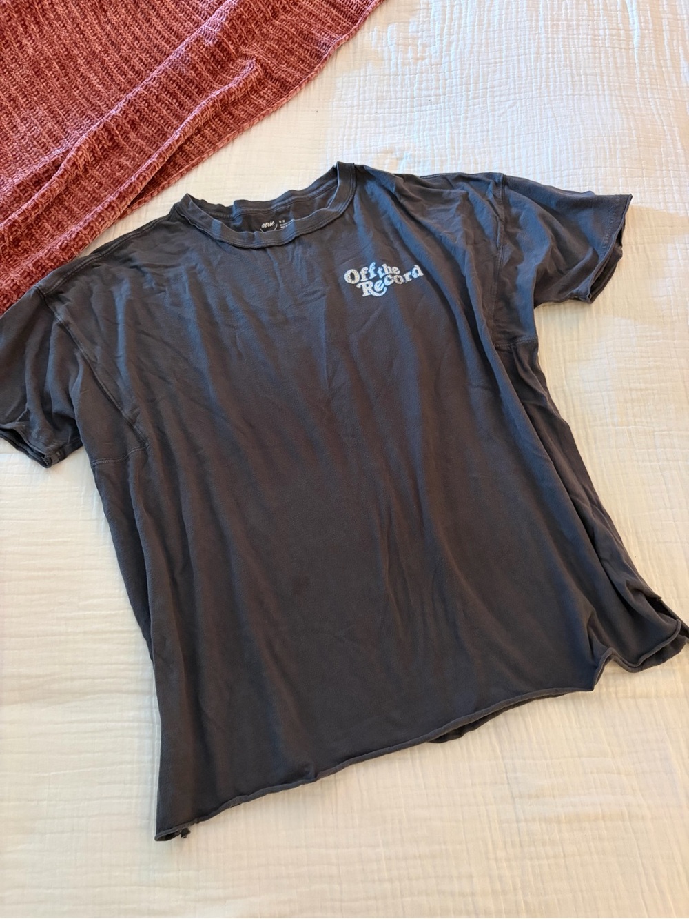 aerie oversized Charcoal Graphic Short-Sleeve Tee with Light Blue Logo.